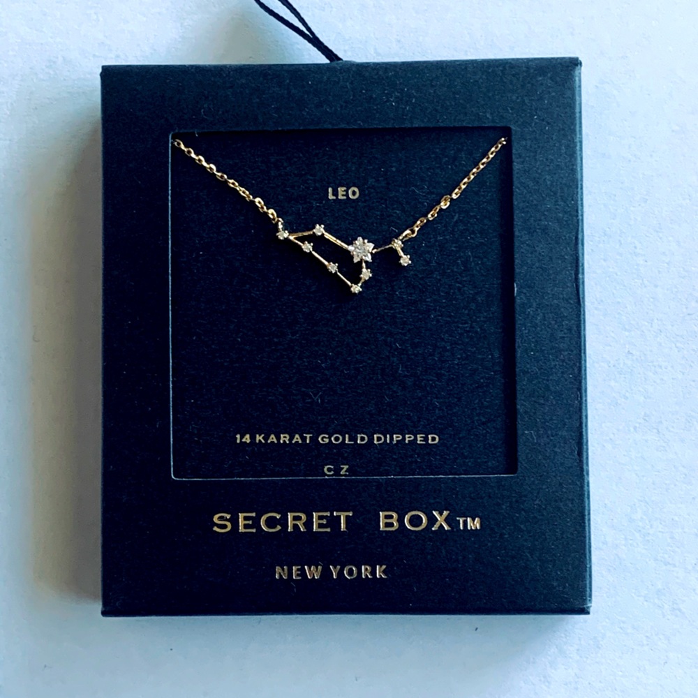 Leo-Secret Box celestial necklace.